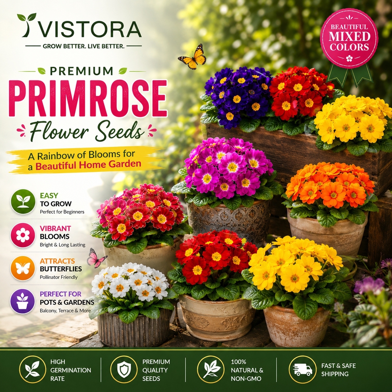 🌼Buy 1 Get 1 Free🌼 Premium Primrose Flower Seeds – Mixed Colors | FREE Gardening Gift Included 🎁