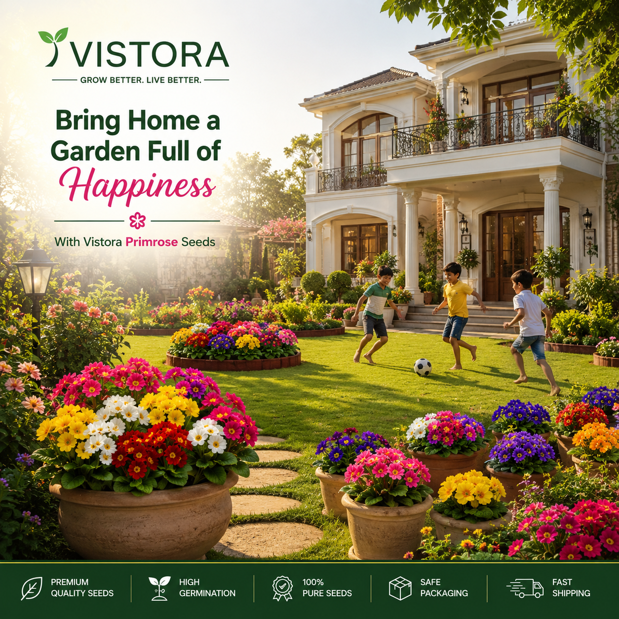 🌼Buy 1 Get 1 Free🌼 Premium Primrose Flower Seeds – Mixed Colors | FREE Gardening Gift Included 🎁