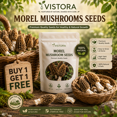 🥳2026 HOT SALE🥳💞50K+ SOLD!✨Morel Mushrooms Seeds – Buy 1 Get 1 Free Special Pack