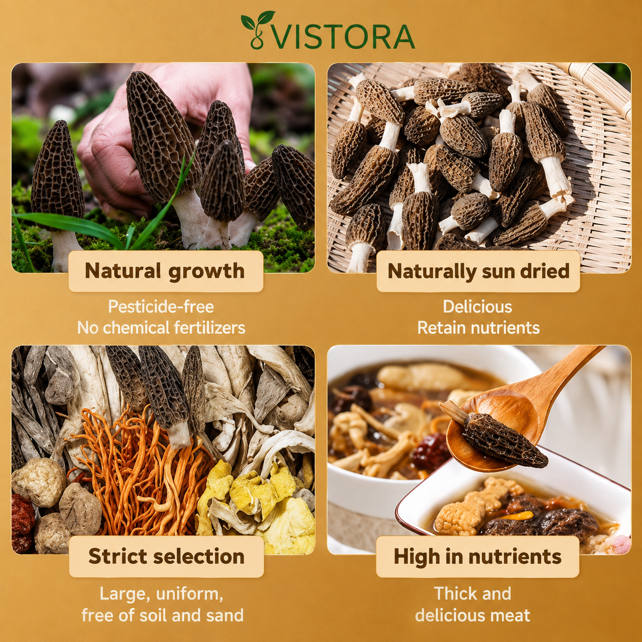 🥳2026 HOT SALE🥳💞50K+ SOLD!✨Morel Mushrooms Seeds – Buy 1 Get 1 Free Special Pack