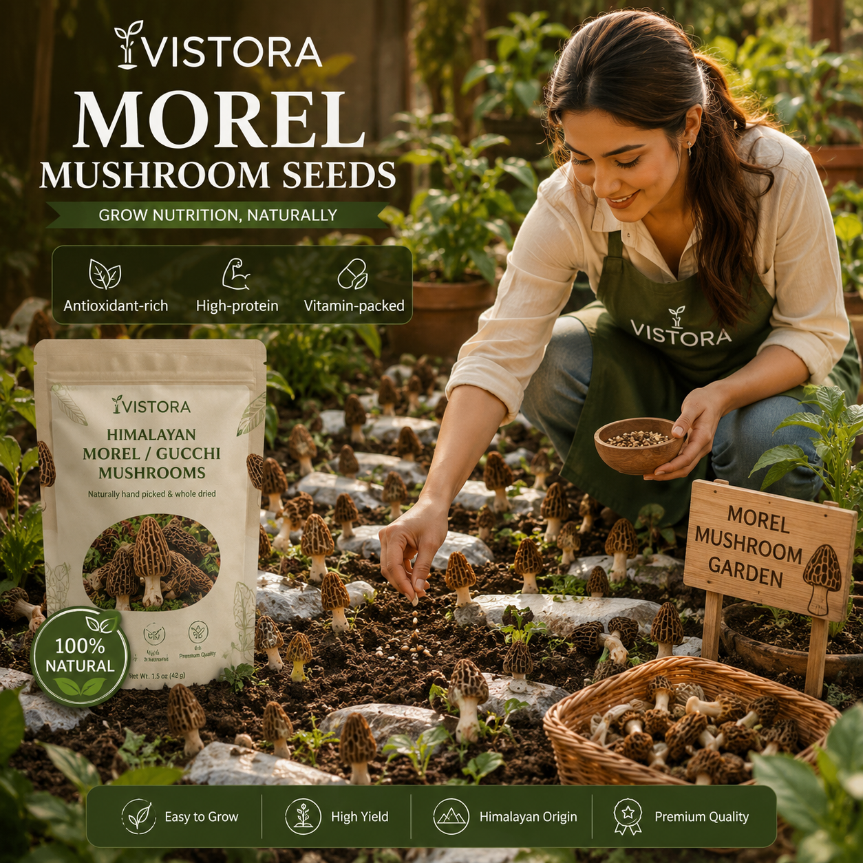 🥳2026 HOT SALE🥳💞50K+ SOLD!✨Morel Mushrooms Seeds – Buy 1 Get 1 Free Special Pack