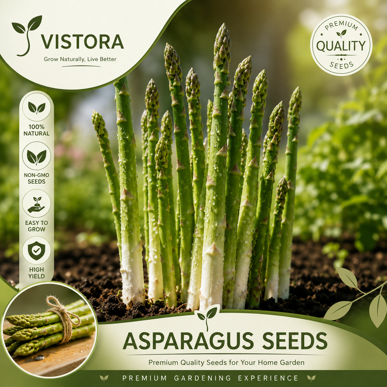 🌱 Grow Your Own Asparagus from Seeds — Fresh, Flavorful & Long-Lasting 👑 | 🔥Buy 1 Get 1 Free🔥