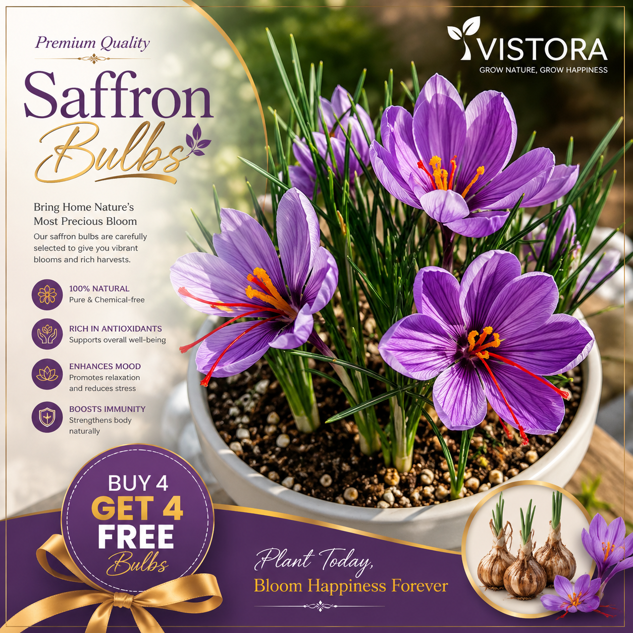 Flower Bulbs