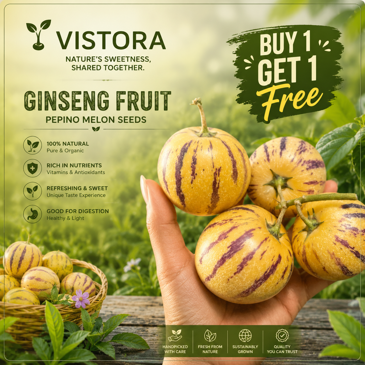 🍈 Buy 1 Get 1 Free 🍈 GINSENG FRUIT PEPINO MELON SEEDS-SOLANUM MURICATUM