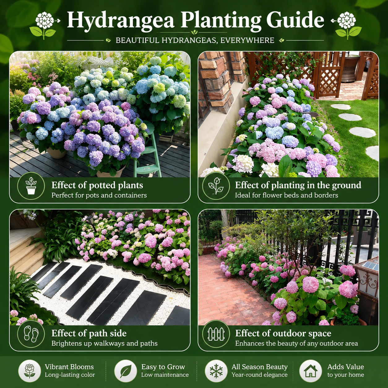 🌼Buy 1 Get 1 Free🌼🌈Mix Hydrangea Seeds - Beautiful and Hardy Perennial Seeds for Your Garden