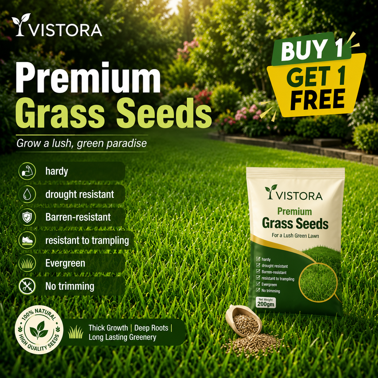 🔥Last Day Promotion 49% OFF🔥🌱2026 Evergreen Premium Grass Seed for Four Seasons | 🔥Buy 1 Get 1 Free🔥